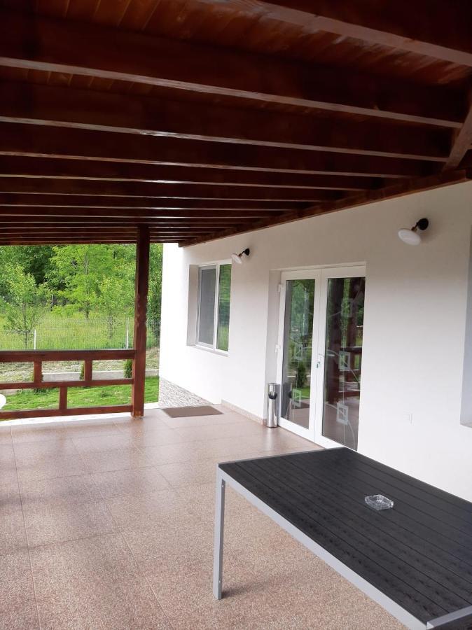 Casa Dumitru Hotel Cerasu ภายนอก รูปภาพ