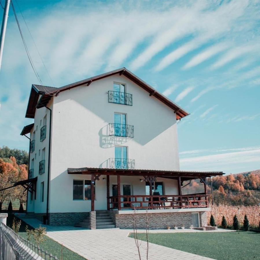 Casa Dumitru Hotel Cerasu ภายนอก รูปภาพ